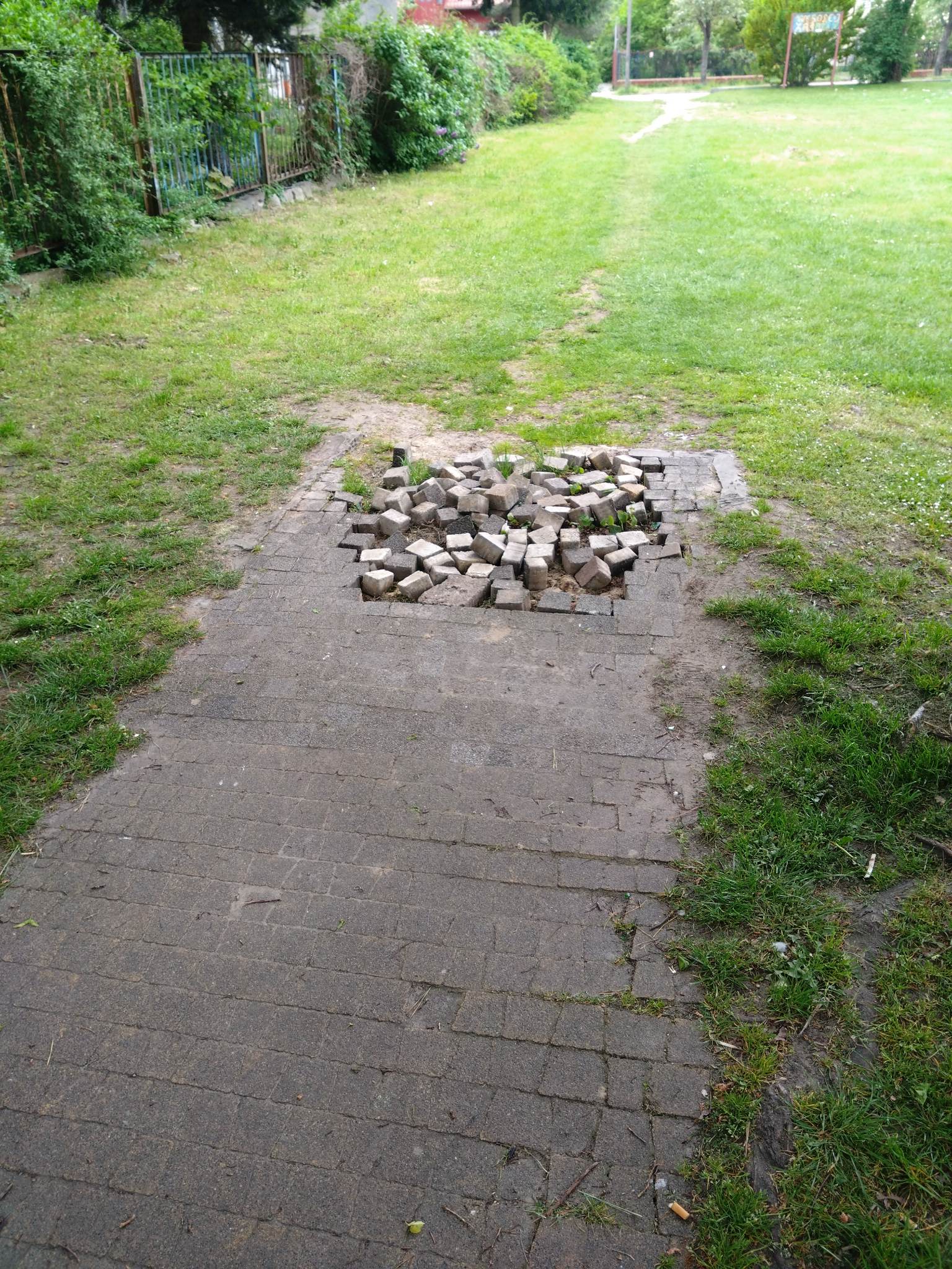 Brak słów...